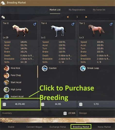 bdo how to breed horses